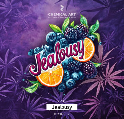 Jealousy