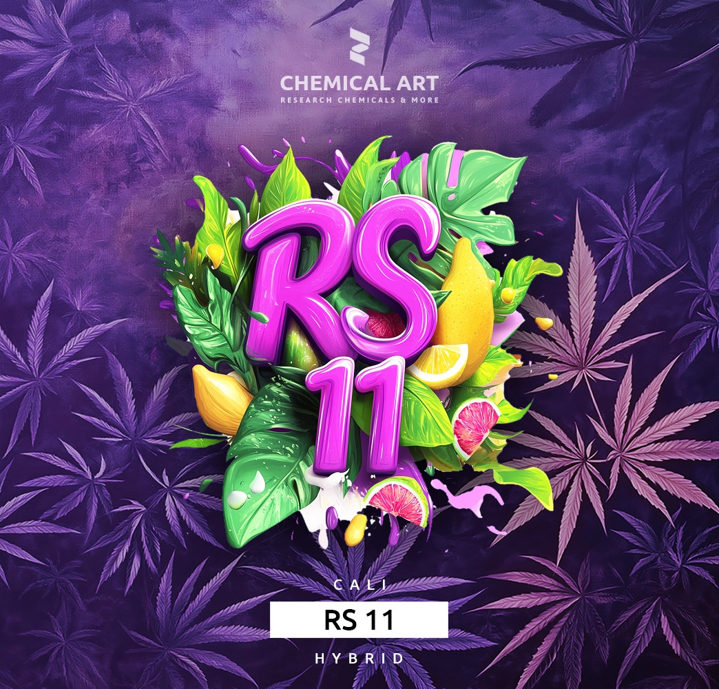 RS 11