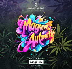 Magnum Automatic